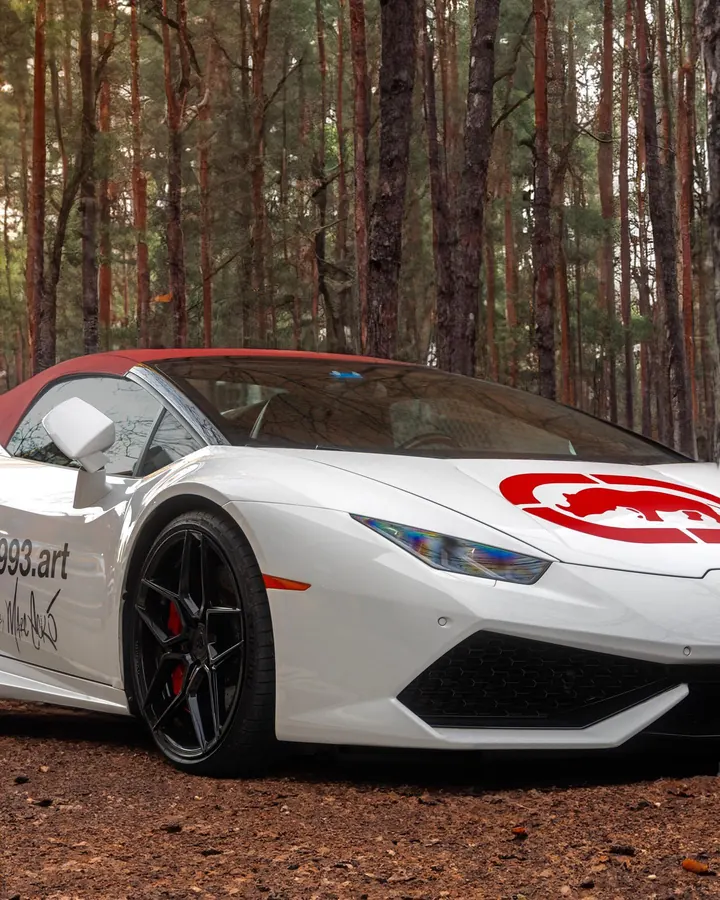White Lamborghini parked in a pine forest