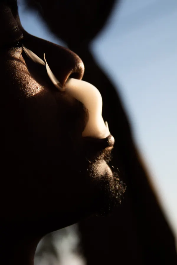Close profile silhouette against a blue sky